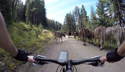 Kurz vor der Stieralm