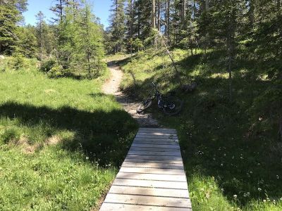 Der Weg zum Schwarzen See