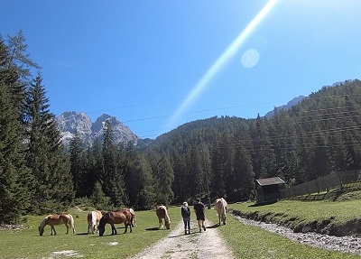 Kurz vor Biberwier